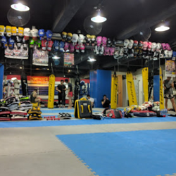 Fighting Pro