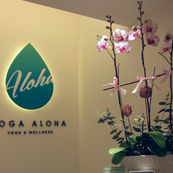 YOGA ALOHA