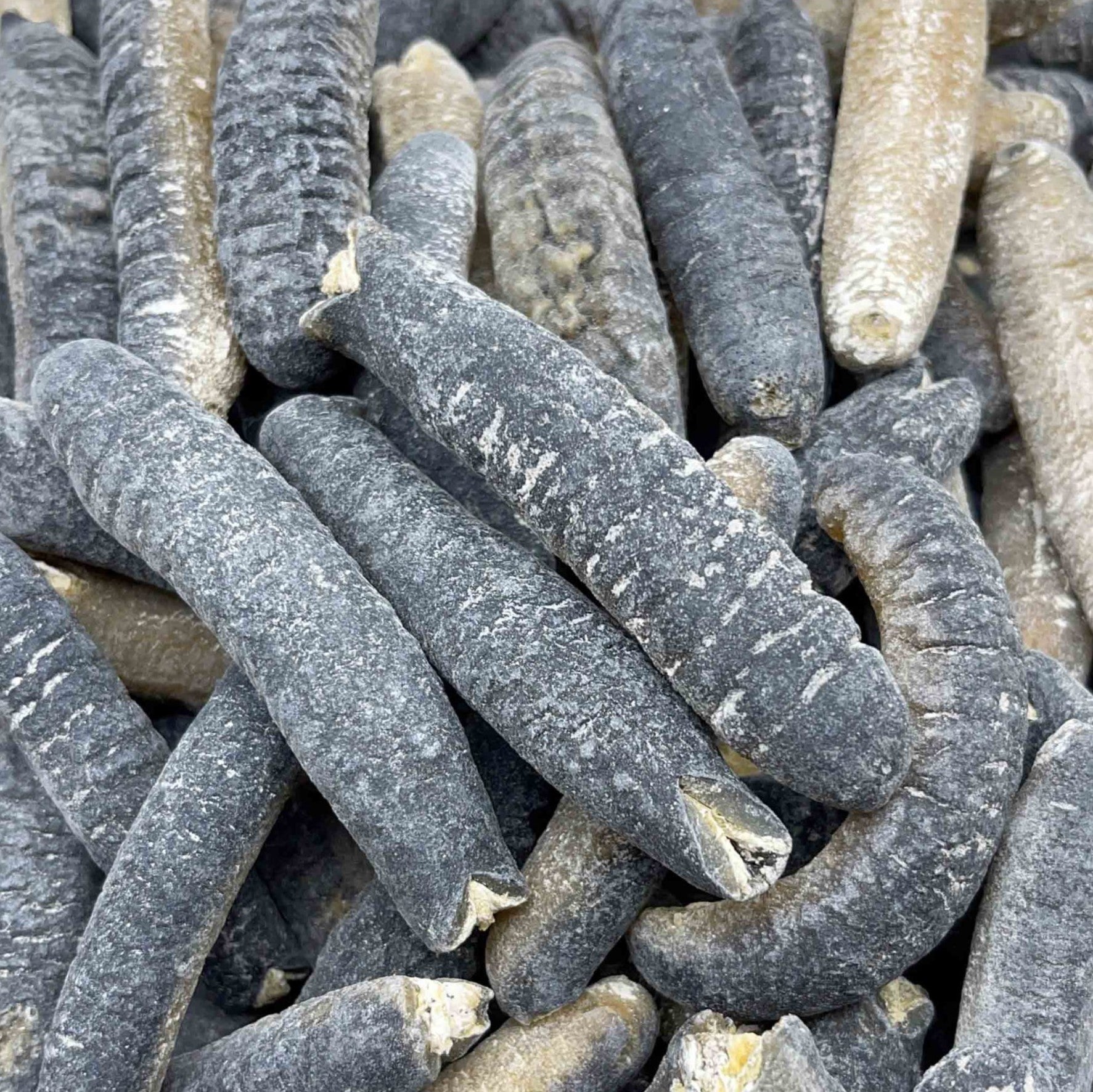 海參乾：類型、用途等