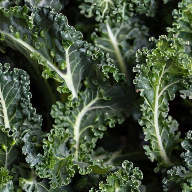 How to tell if kale has gone bad?
