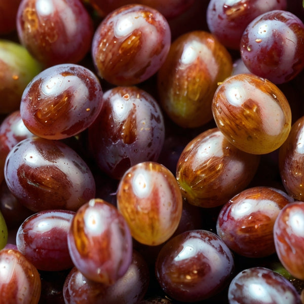 葡萄籽和葡萄籽萃取物補充劑