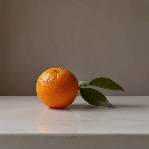 橙子的圖片素材集