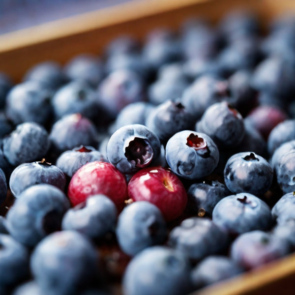 藍莓：用途、好處、副作用等