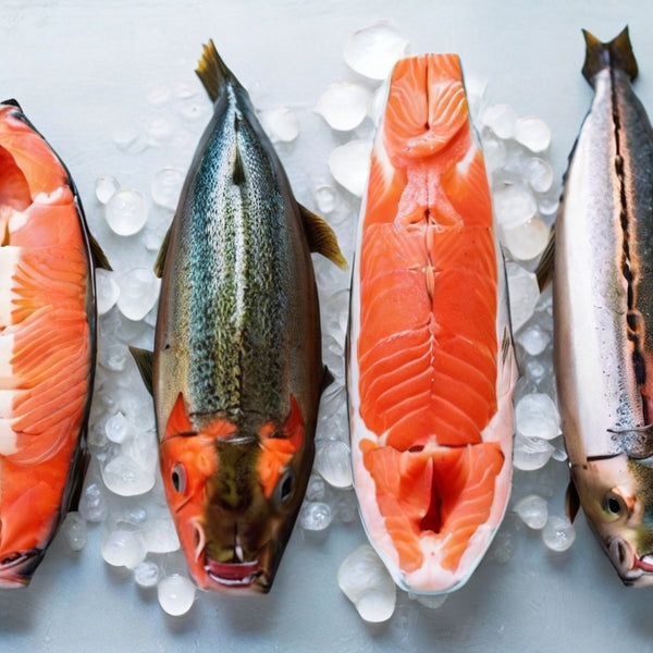 盤子裡的三文魚：探索最常食用的物種