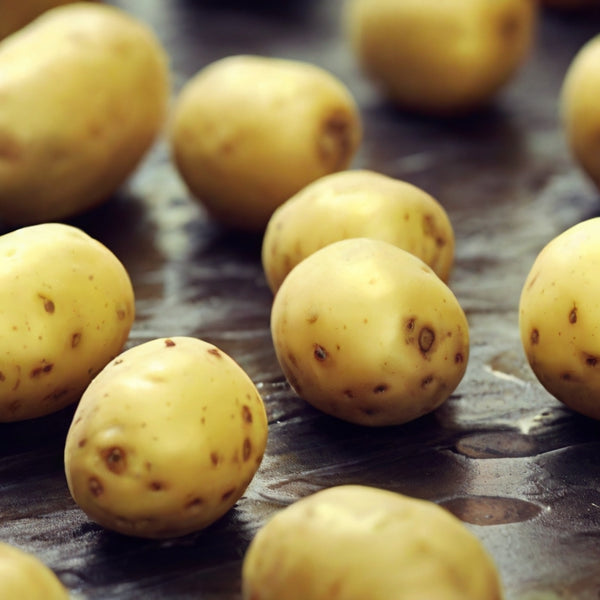 發芽的薯仔(馬鈴薯)可以安全食用嗎？