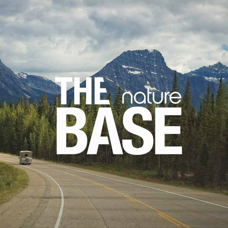 The BASE nature