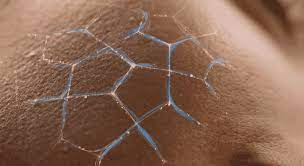 關於神經酰胺對皮膚的了解